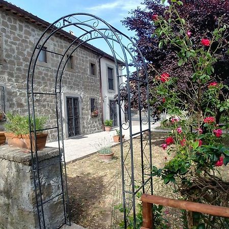 B&B Paternocchio Montefiascone Exterior foto