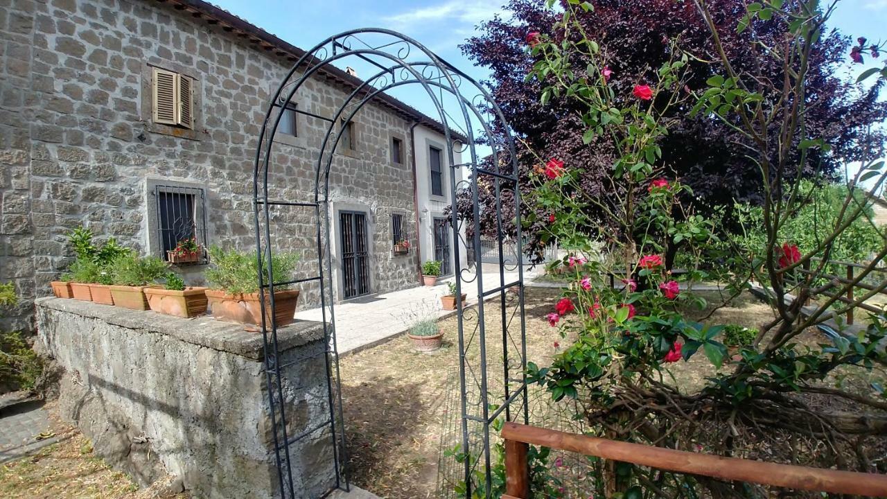 B&B Paternocchio Montefiascone Exterior foto