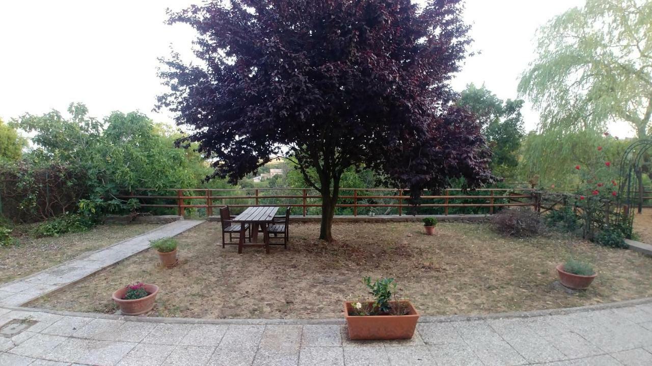 B&B Paternocchio Montefiascone Exterior foto