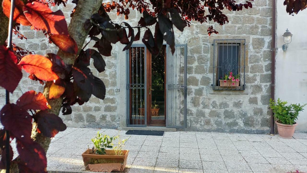 B&B Paternocchio Montefiascone Exterior foto